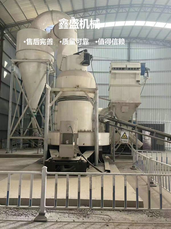 大型雷蒙機